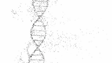 3D rendering of a DNA double helix structure with spheres on a white background with copy space....