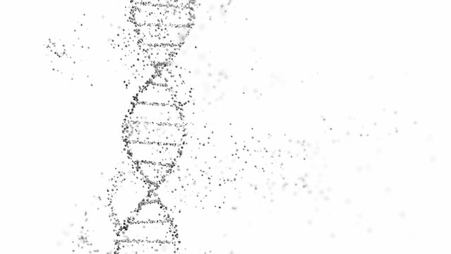 3D rendering of a DNA double helix structure with spheres on a white background with copy space. Genomic sequencing, molecular biology, and genetic data analysis
