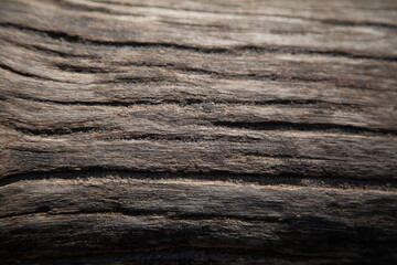 Fototapeta premium texture 