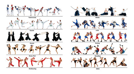 Collage. Athletes of different martial arts sports in motion, training, fighting against white...
