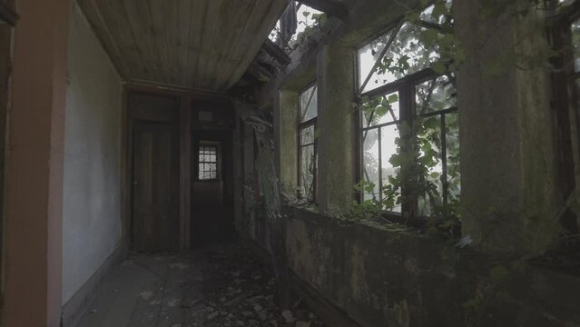 Nature takes over an old corridor in an abandoned house (S-Log 3, 4K, ProRes 422HQ)