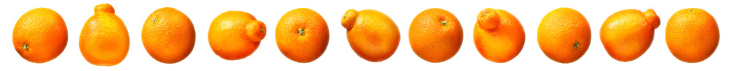 Group of oranges and mandarins isolated on white background