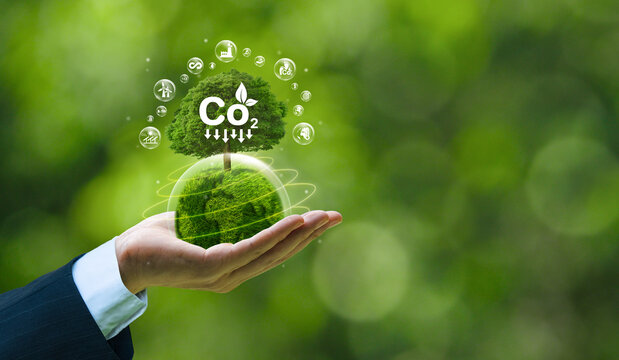Businessman's hands hold green globe with trees for ESG, carbon co2 and net zero. environmentally friendly carbon saves our planet, world environment day, earth day and climate change