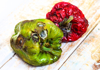 spoilt green and red bell peppers, on rustic wooden surface with mold, wrinkles and disintegrating...