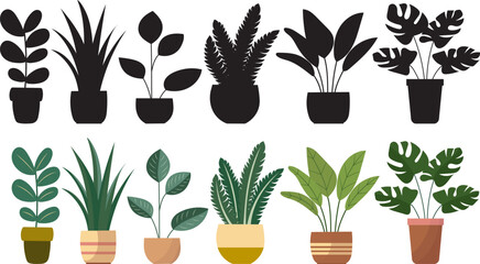 flowers in pots in flat style, indoor plants, isolated on white background vector