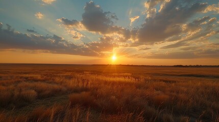 cinematic photography, film scene