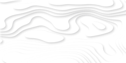Vector 3D abstract background with paper cut shapes. paper cut topography vector art background banner texture. White wave paper curved reliefs abstract background. Realistic papercut decoration layer