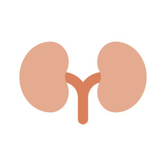 Human renal system organ, human organ, icon of kidneys