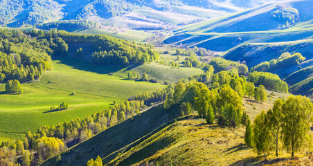 Green meadows and mountain slopes, evening light