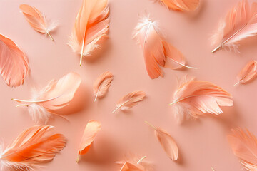 Coral pink pastel feather background