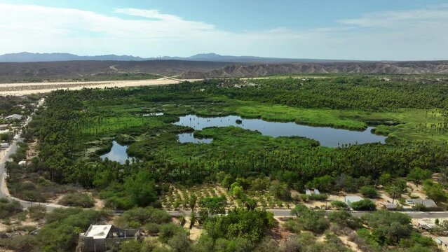 Aerial view circling the Mirador Santiago de Yola Oasis, in sunny Baja California Sur Mexico