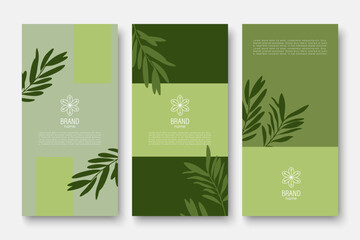 Branding packaging nature leaves background, voucher, logo, banner, cover design in green colors with olive branches. Summer botanical vector illustration with olive branches.