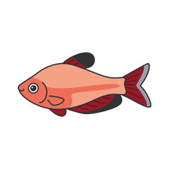 Blood tetra fish illustration