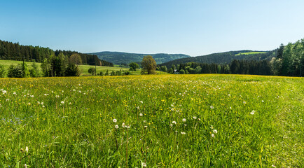 Beautiful westernmost part of Krusne hory mountains above Kraslice in Czech republic