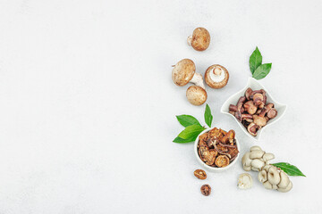 Assortment of various mushrooms - fresh, dried and pickled. Oyster, cremini, porcini and shiitake