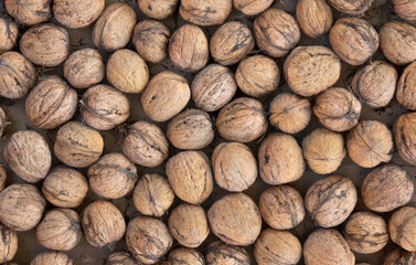 Walnuts ( Juglans regia ) in shell, background, texture. Top view, flat lay