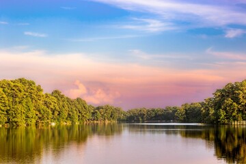 Obraz premium calm lake with many trees, water and sky in the background