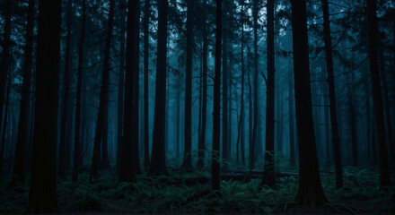 Naklejka premium Panorama of foggy forest. Fairy tale spooky looking woods in a misty day. Cold foggy morning in horror forest