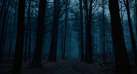 Obraz premium Panorama of foggy forest. Fairy tale spooky looking woods in a misty day. Cold foggy morning in horror forest