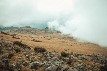 Mt. Kenya Landscape, clouds and skies