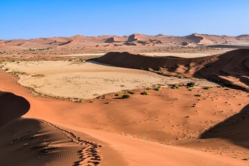Vast desert landscape on a sunny day,  Sossusvlei, Namibia