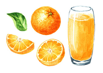 Glass of Orange  juice set.  Hand drawn watercolor illustration, isolated on white background