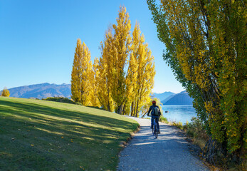 Tourist riding the bike on the Millennium track along the Wanaka lakeside. Autumn in Wanaka. New Zealand.