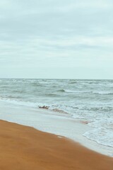 A serene expanse of the ocean with a majestic snow covered mountain in the background
