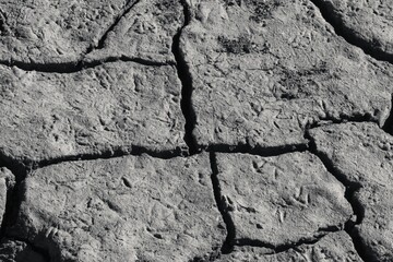 Textured, cracked and peeling up dirt surface in grayscale