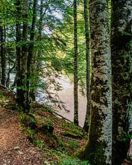 Lake in the middle of a forest in northern Spain