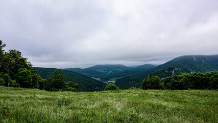 Fototapeta premium Landscape of a forested mountain in northern Germany