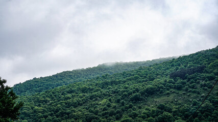 Naklejka premium Landscape of a forested mountain in northern Germany