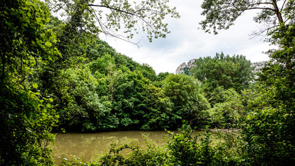 River between forested mountains in northern Spain