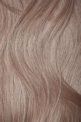 Blond hair close-up as a background. Women's long light brown hair. Beautifully styled wavy shiny curls. Hair coloring. Hairdressing procedures, extension.