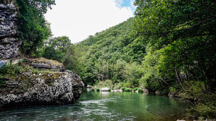 Fototapeta premium River through a forest in northern Spain