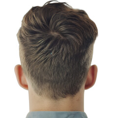 Brown-Haired Individual Seen from Behind