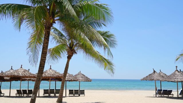 My Khe Beach with parasol and palm tree in Da Nang, Vietnam