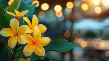 tropical flowers on the background of the beach, sea, vacation, blurred, space for text, frame of plants, nature, sea, ocean, south, travel, Bali, Caribbean islands, Philippines, natural landscape