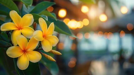 tropical flowers on the background of the beach, sea, vacation, blurred, space for text, frame of plants, nature, sea, ocean, south, travel, Bali, Caribbean islands, Philippines, natural landscape