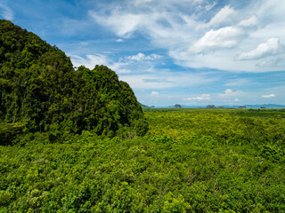 Aerial view Drone camera rainforest trees ecology with healthy environment concept and summer background