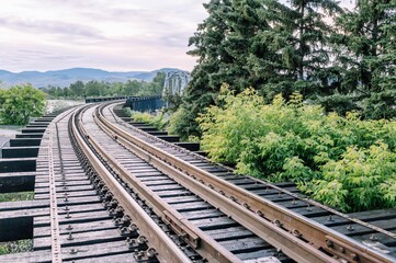 Fototapeta premium Idyllic landscape featuring a railroad track, winding its way through a lush and verdant forest