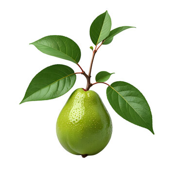 A guave with stem and leaves isolated on transparent background and 3D render