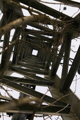 Obraz premium wooden structure with bare branches against blue sky and clouds at the top