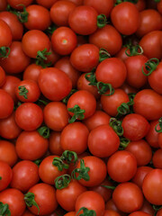 healthy tomatoes at the market