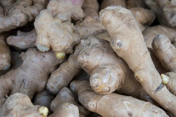 High-resolution close-up shot of the ginger