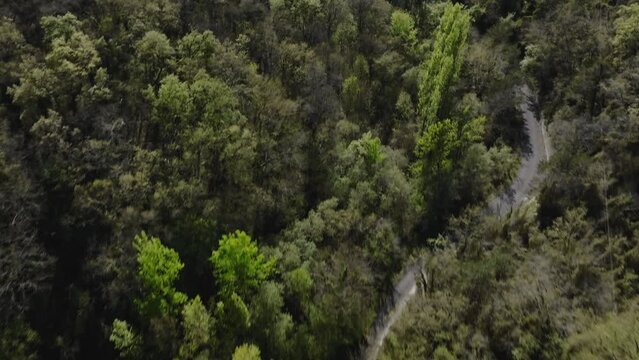 Plano de Drone del precioso embalse de Maro&ntilde;o en &Aacute;lava (Pa&iacute;s Vasco) rodeado de preciosas y verdes monta&ntilde;as. Lago con agua brillante y cielo azul.