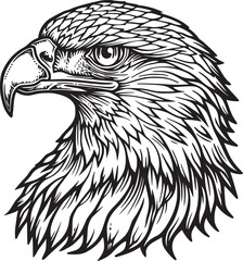 Eagle Logo Vector Design, Mascot Vector Illustration