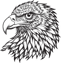 Eagle Logo Vector Design, Mascot Vector Illustration