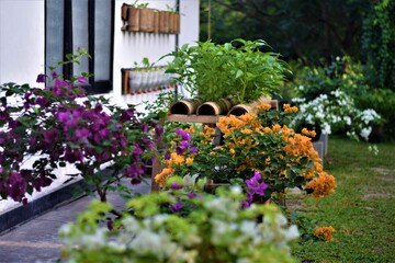 a row of plants planted in containers outside a building with flowers