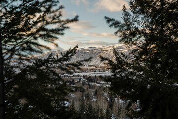 Winter landscape featuring a snow-covered hills near water, visible through branches of a tree